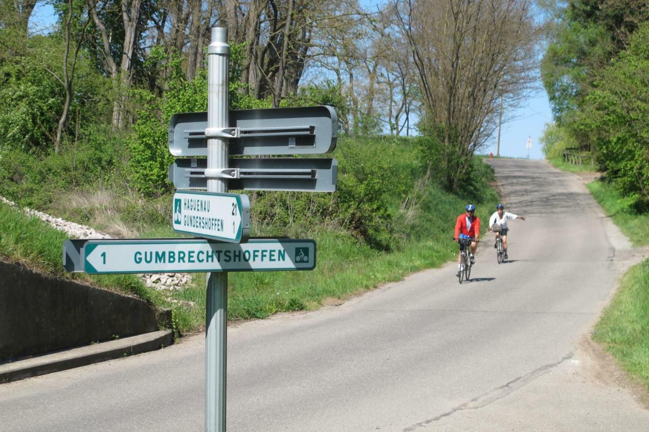 Gites Du Tilleul Gumbrechtshoffen Eksteriør billede